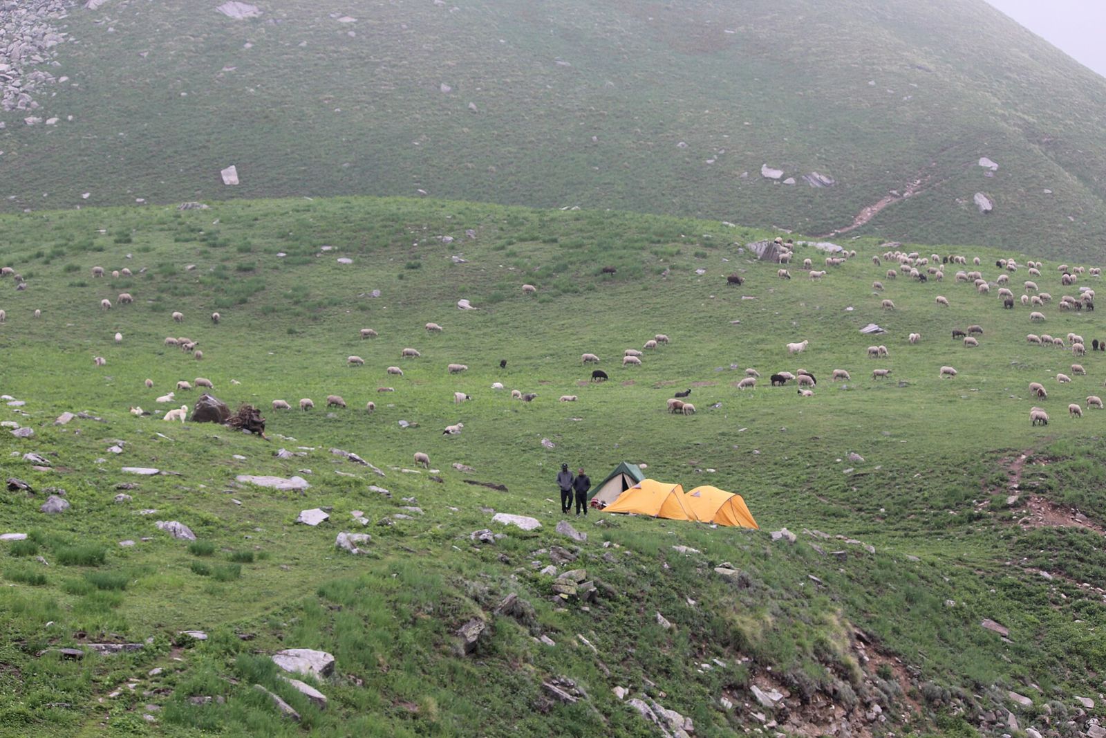 Buran Ghati Trek in Himachal Pradesh
