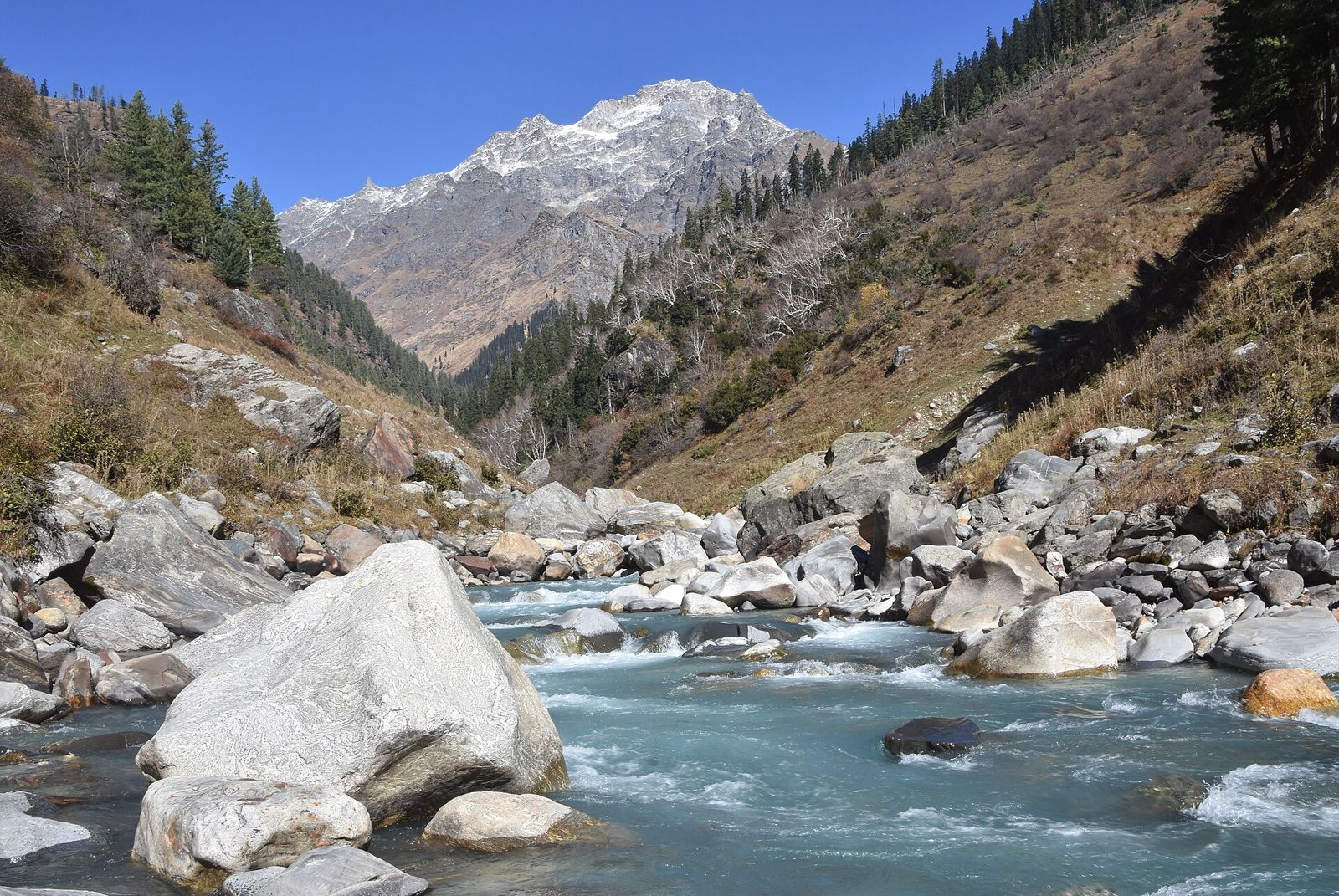 Kheerganga Trek photo — parvati 2